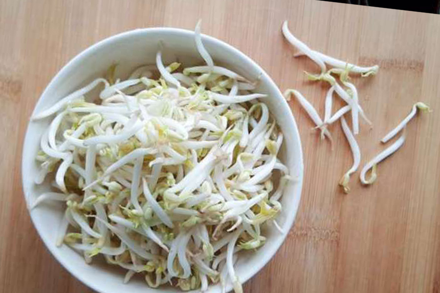 Bean Sprouts