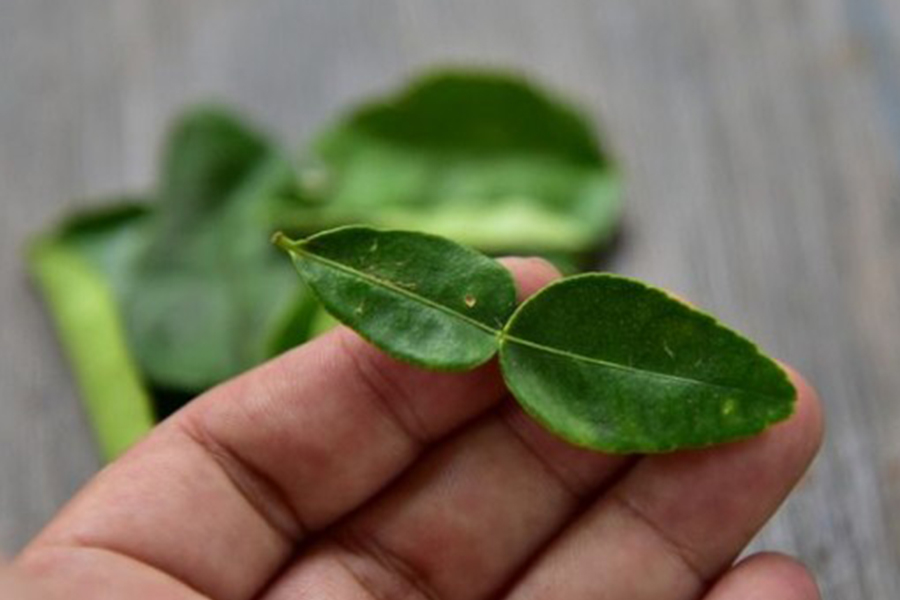Kaffir Lime (tastingtable)