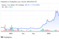 Koin Solana Melonjak Kembali di Atas $200 Setelah Flash Crash (Sumber:Ragamutama.com)