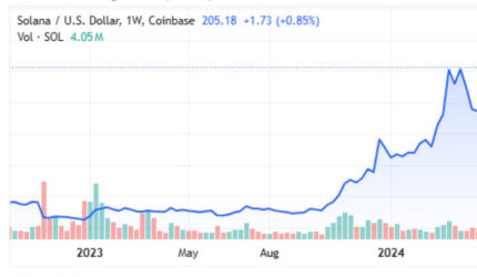 Koin Solana Melonjak Kembali di Atas $200 Setelah Flash Crash (Sumber:Ragamutama.com)